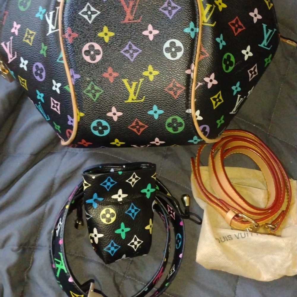 Louis Vuitton Multicolor Monogram Women's Bag